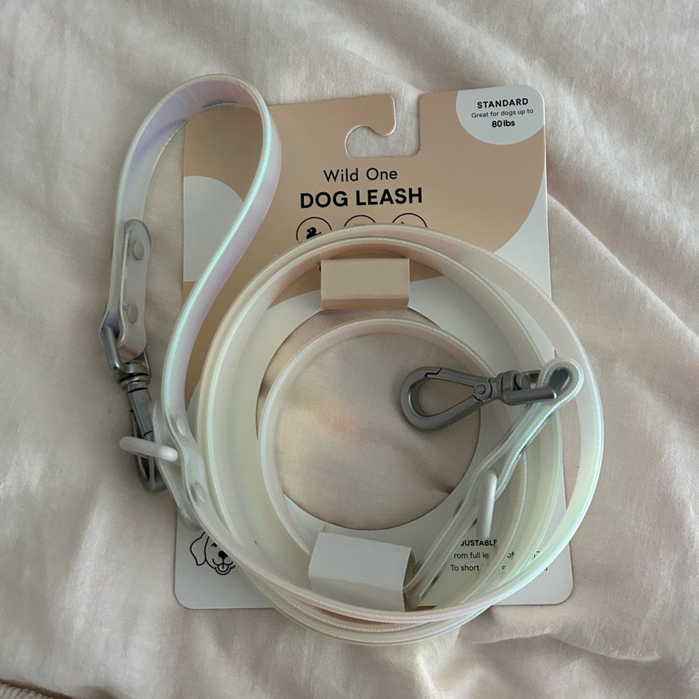 Silver and White Dog Leash with Metal Hardware